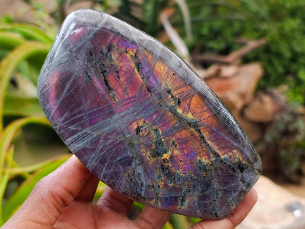 Polished Rare Purple Sunset Flash Labradorite Standing Free Forms x 2 From Madagascar