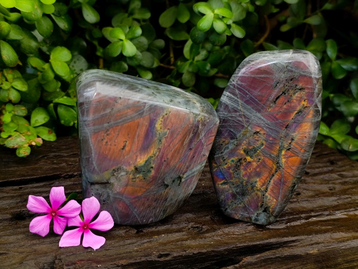 Polished Rare Purple Sunset Flash Labradorite Standing Free Forms x 2 From Madagascar