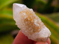 Natural White Spirit Quartz Crystals x 70 From Boekenhouthoek, South Africa