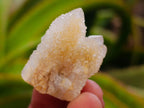 Natural White Spirit Quartz Crystals x 70 From Boekenhouthoek, South Africa