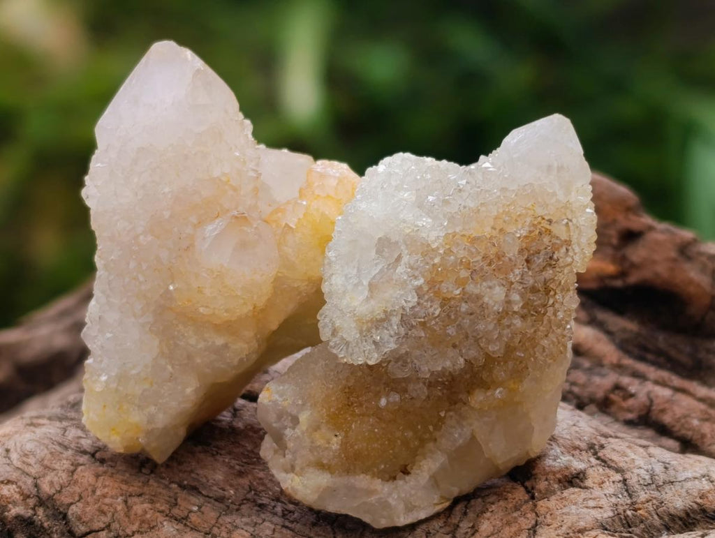 Natural White Spirit Quartz Crystals x 70 From Boekenhouthoek, South Africa