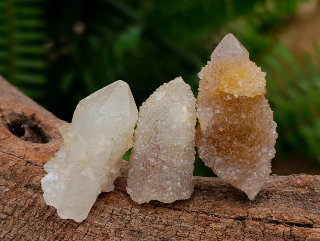Natural White Spirit Quartz Crystals x 70 From Boekenhouthoek, South Africa