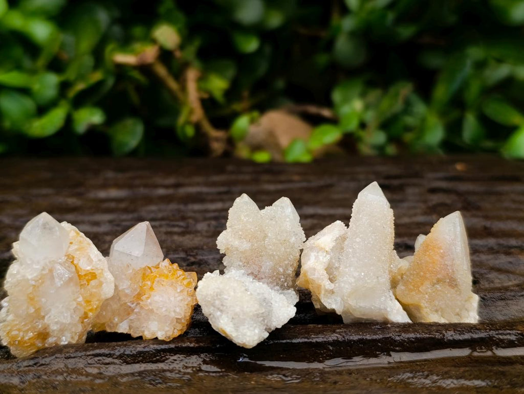 Natural White Spirit Quartz Crystals x 70 From Boekenhouthoek, South Africa