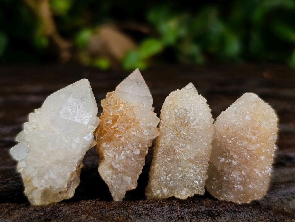Natural White Spirit Quartz Crystals x 70 From Boekenhouthoek, South Africa