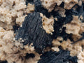 Natural Large Schorl Black Tourmaline Specimen with Associated Minerals x 1 From Erongo, Namibia