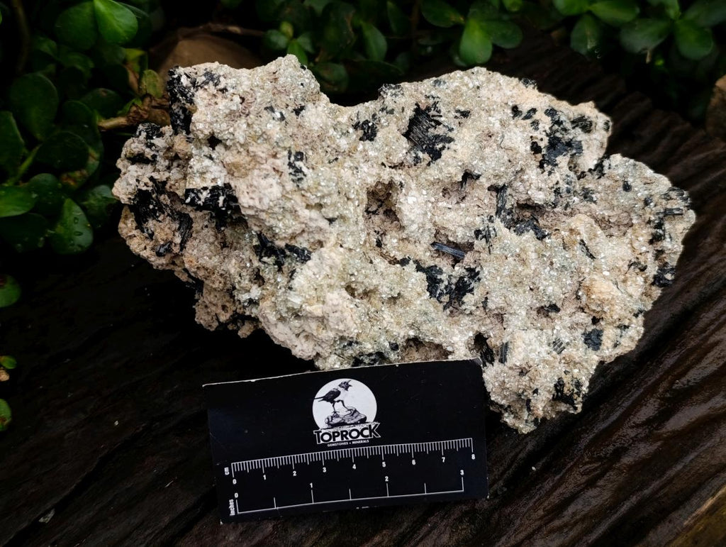 Natural Large Schorl Black Tourmaline Specimen with Associated Minerals x 1 From Erongo, Namibia