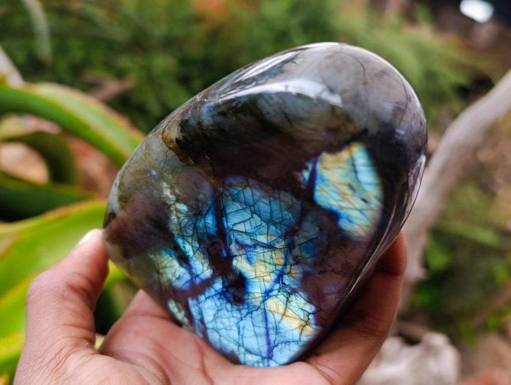 Polished Labradorite Standing Free Forms x 2 From Madagascar