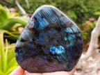 Polished Labradorite Standing Free Forms x 2 From Madagascar