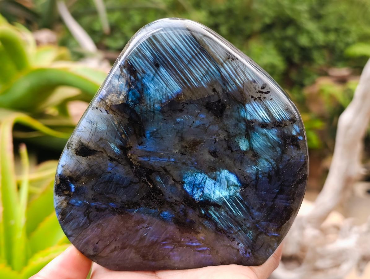 Polished Labradorite Standing Free Forms x 2 From Madagascar