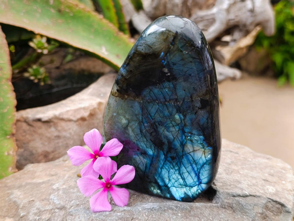 Polished Labradorite Standing Free Forms x 2 From Madagascar