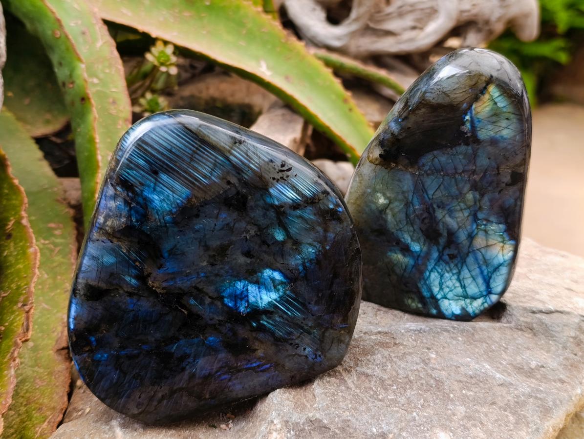 Polished Labradorite Standing Free Forms x 2 From Madagascar
