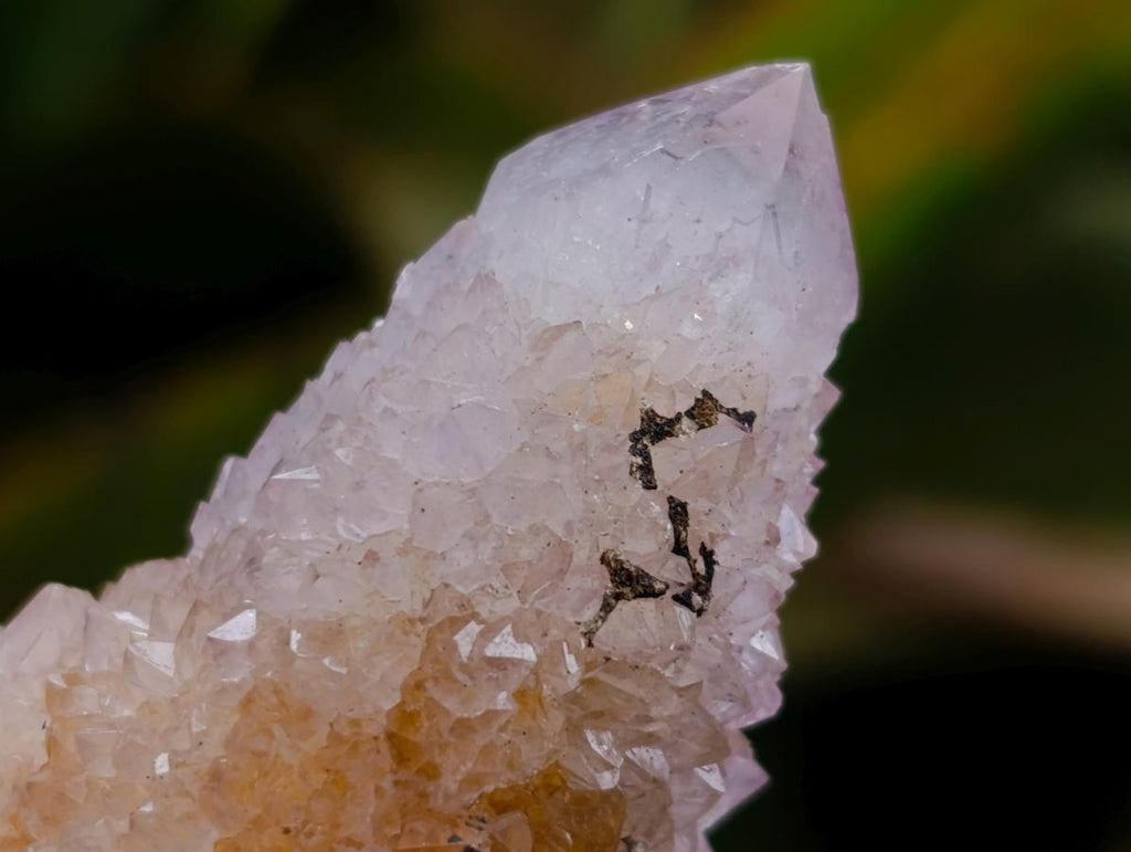 Natural White Spirit Quartz Clusters x 12 From Boekenhouthoek, South Africa