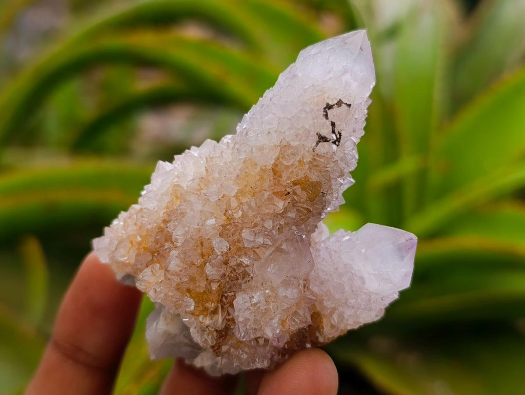 Natural White Spirit Quartz Clusters x 12 From Boekenhouthoek, South Africa