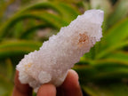 Natural White Spirit Quartz Clusters x 12 From Boekenhouthoek, South Africa