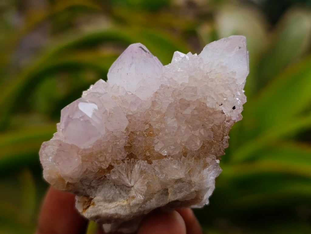 Natural White Spirit Quartz Clusters x 12 From Boekenhouthoek, South Africa