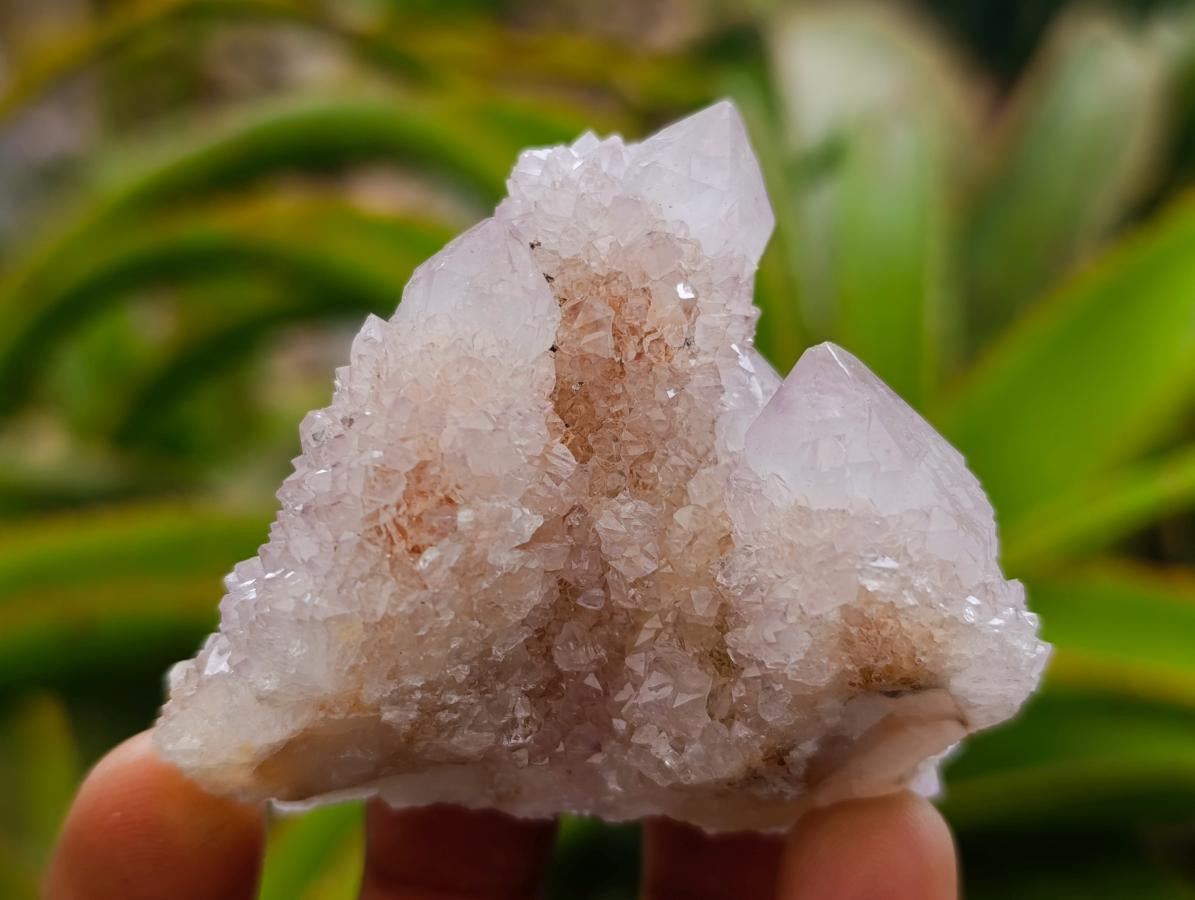 Natural White Spirit Quartz Clusters x 12 From Boekenhouthoek, South Africa