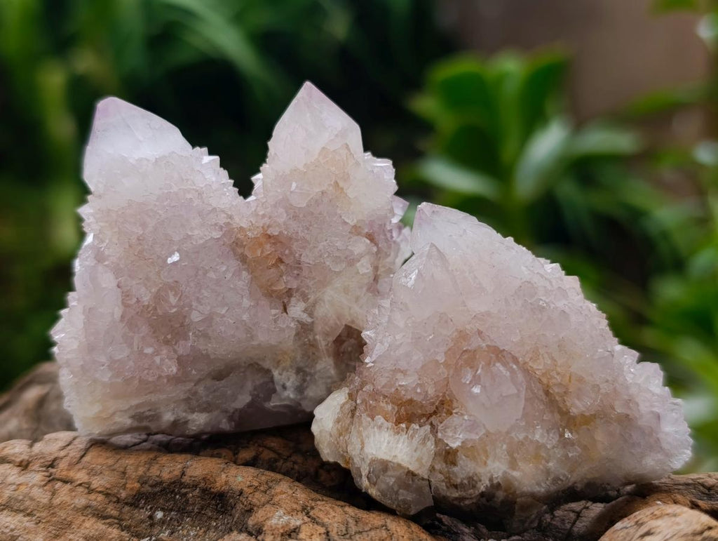 Natural White Spirit Quartz Clusters x 12 From Boekenhouthoek, South Africa