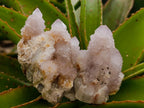 Natural White Spirit Quartz Clusters x 12 From Boekenhouthoek, South Africa