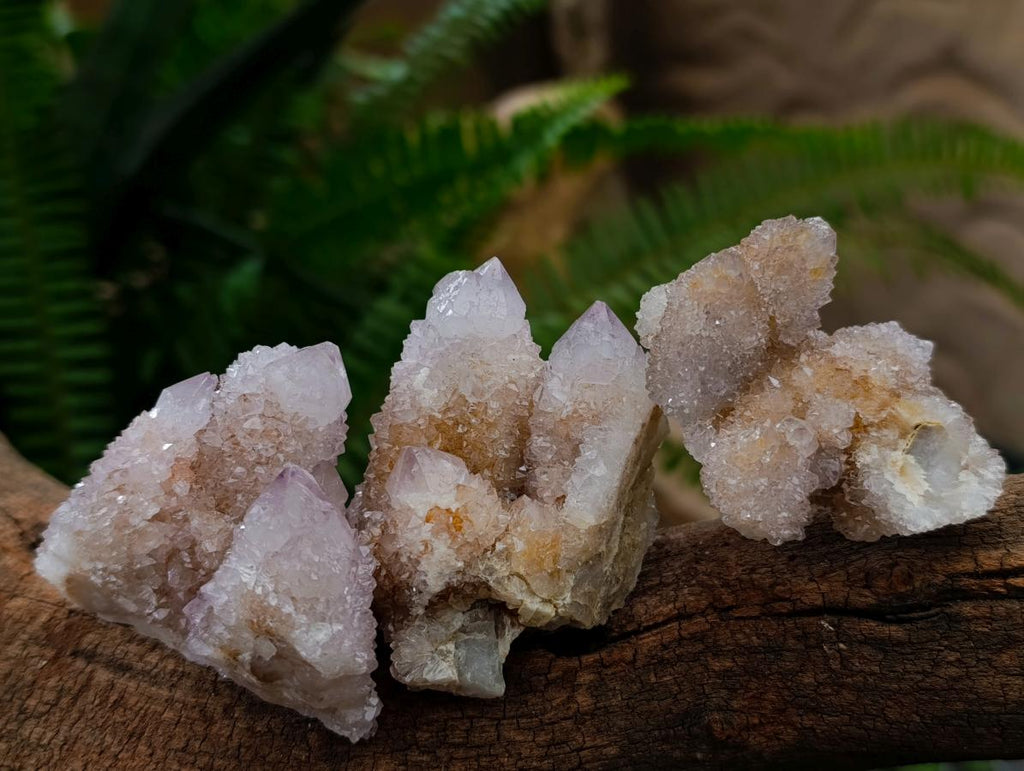 Natural White Spirit Quartz Clusters x 12 From Boekenhouthoek, South Africa