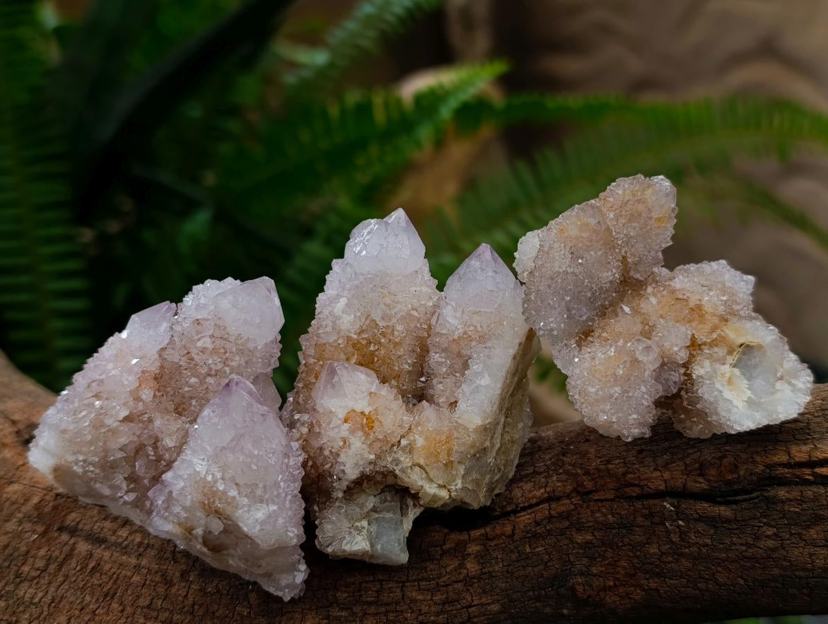 Natural White Spirit Quartz Clusters x 12 From Boekenhouthoek, South Africa