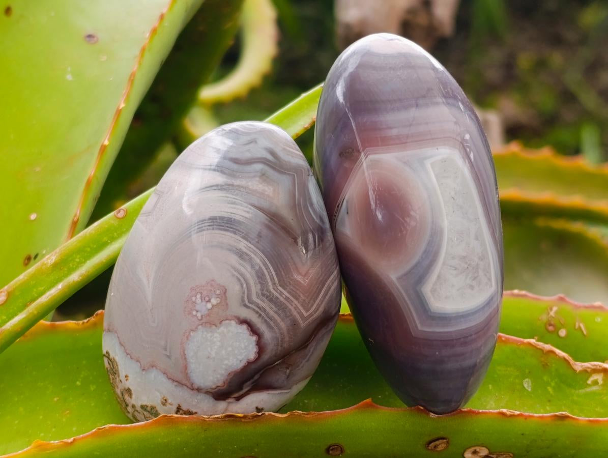 Polished Red Shashe River Agate Galets x 12 From Shashe River, Zimbabwe