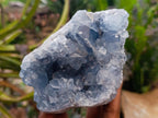 Natural Blue Celestite Geode Cluster Specimens x 2 From Sakoany, Madagascar