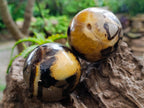 Polished Septerye Spheres x 6 From Mahajanga, Madagascar