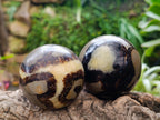 Polished Septerye Spheres x 6 From Mahajanga, Madagascar