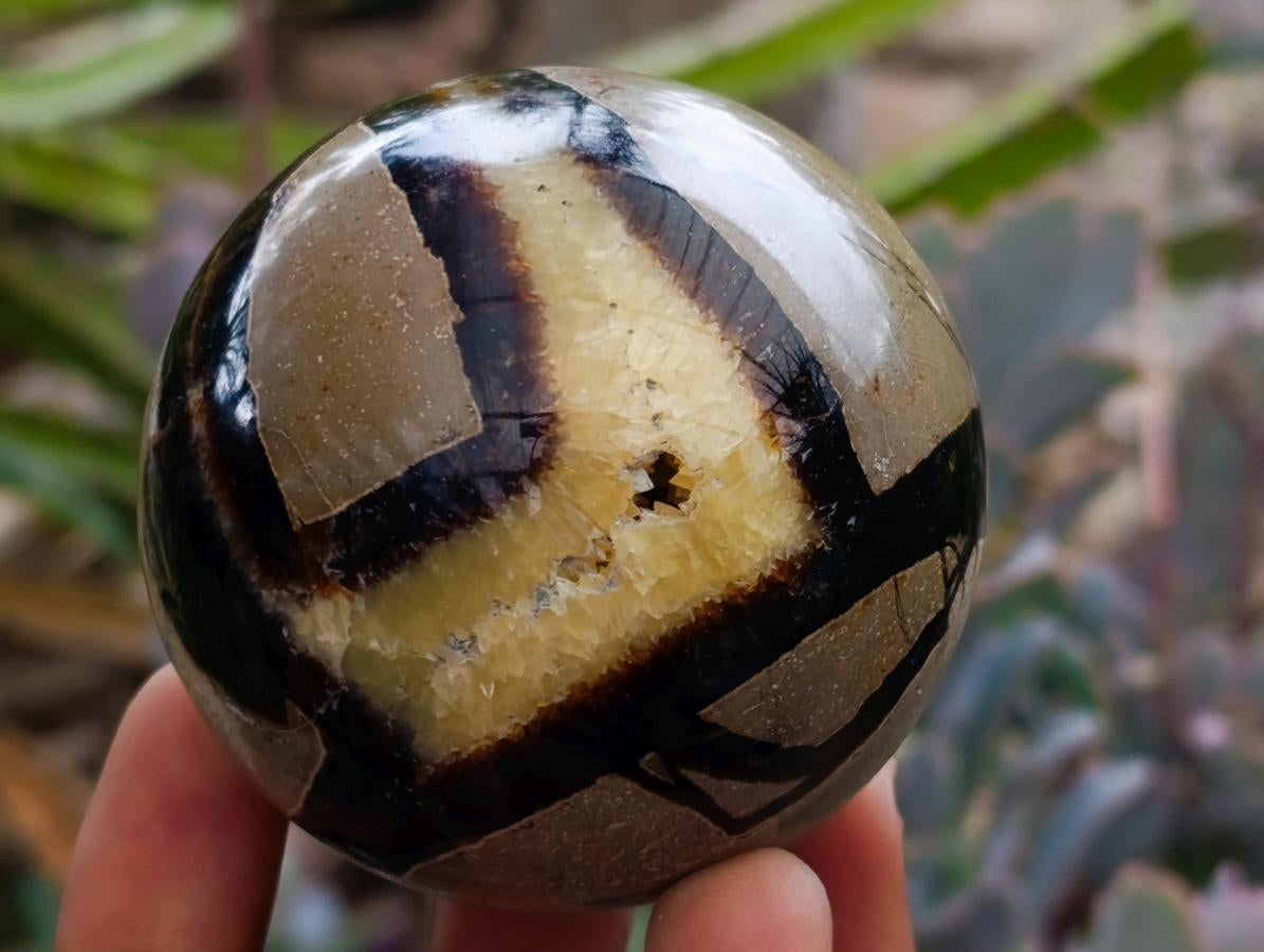 Polished Septerye Spheres x 6 From Mahajanga, Madagascar