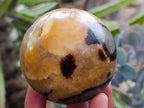 Polished Septerye Spheres x 6 From Mahajanga, Madagascar
