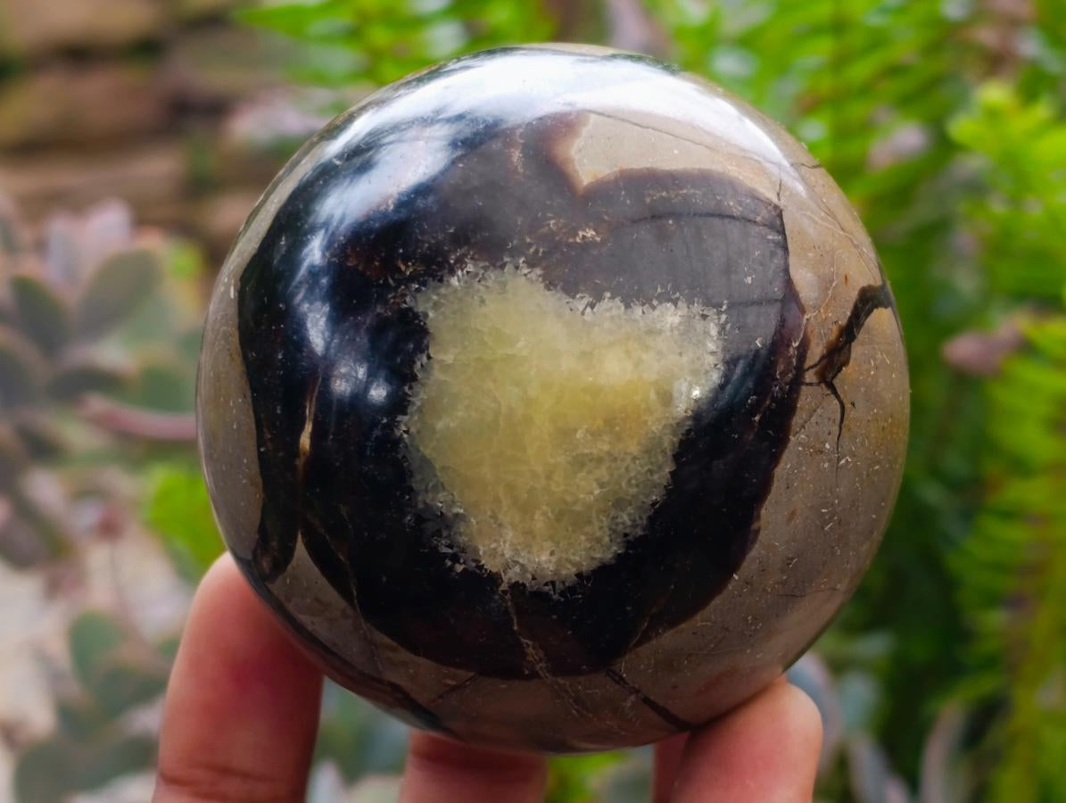 Polished Septerye Spheres x 6 From Mahajanga, Madagascar