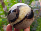 Polished Septerye Spheres x 6 From Mahajanga, Madagascar