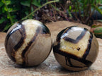 Polished Septerye Spheres x 6 From Mahajanga, Madagascar