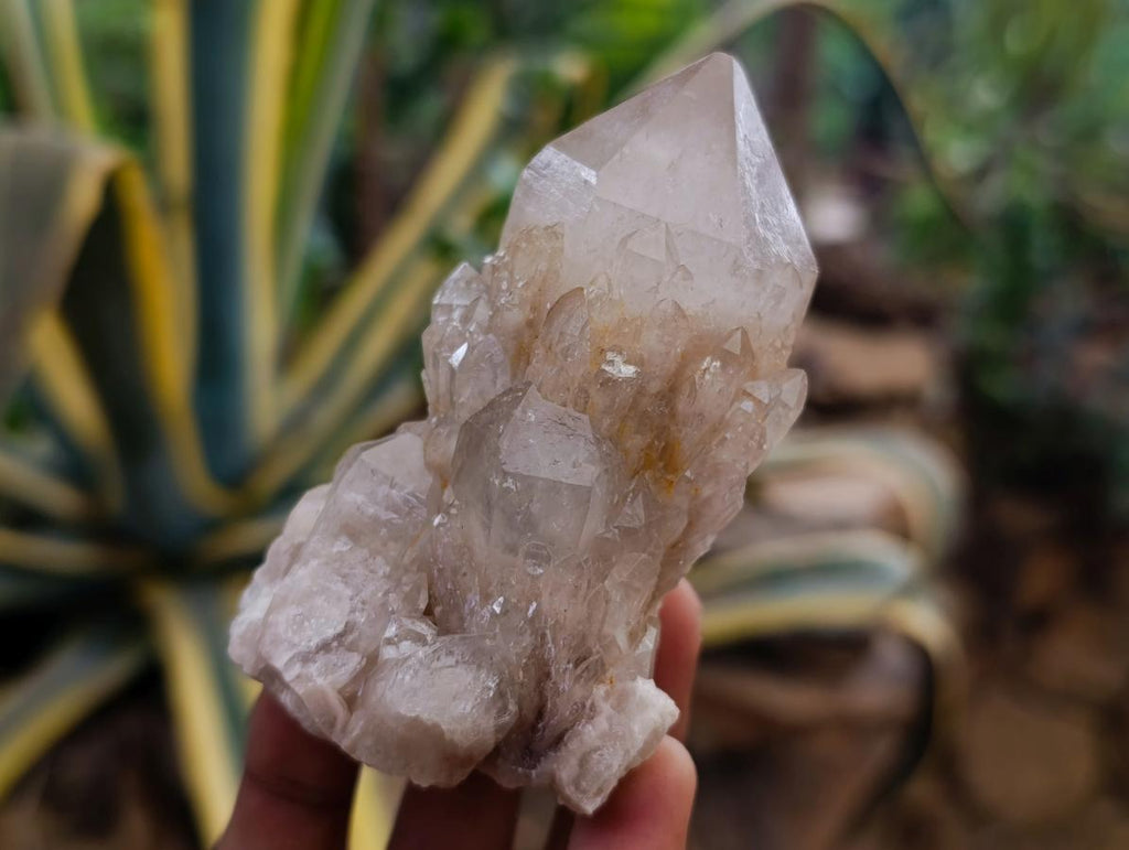 Natural Smokey Phantom Quartz Clusters x 6 From Luena, Congo
