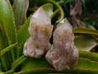 Natural Smokey Phantom Quartz Clusters x 6 From Luena, Congo