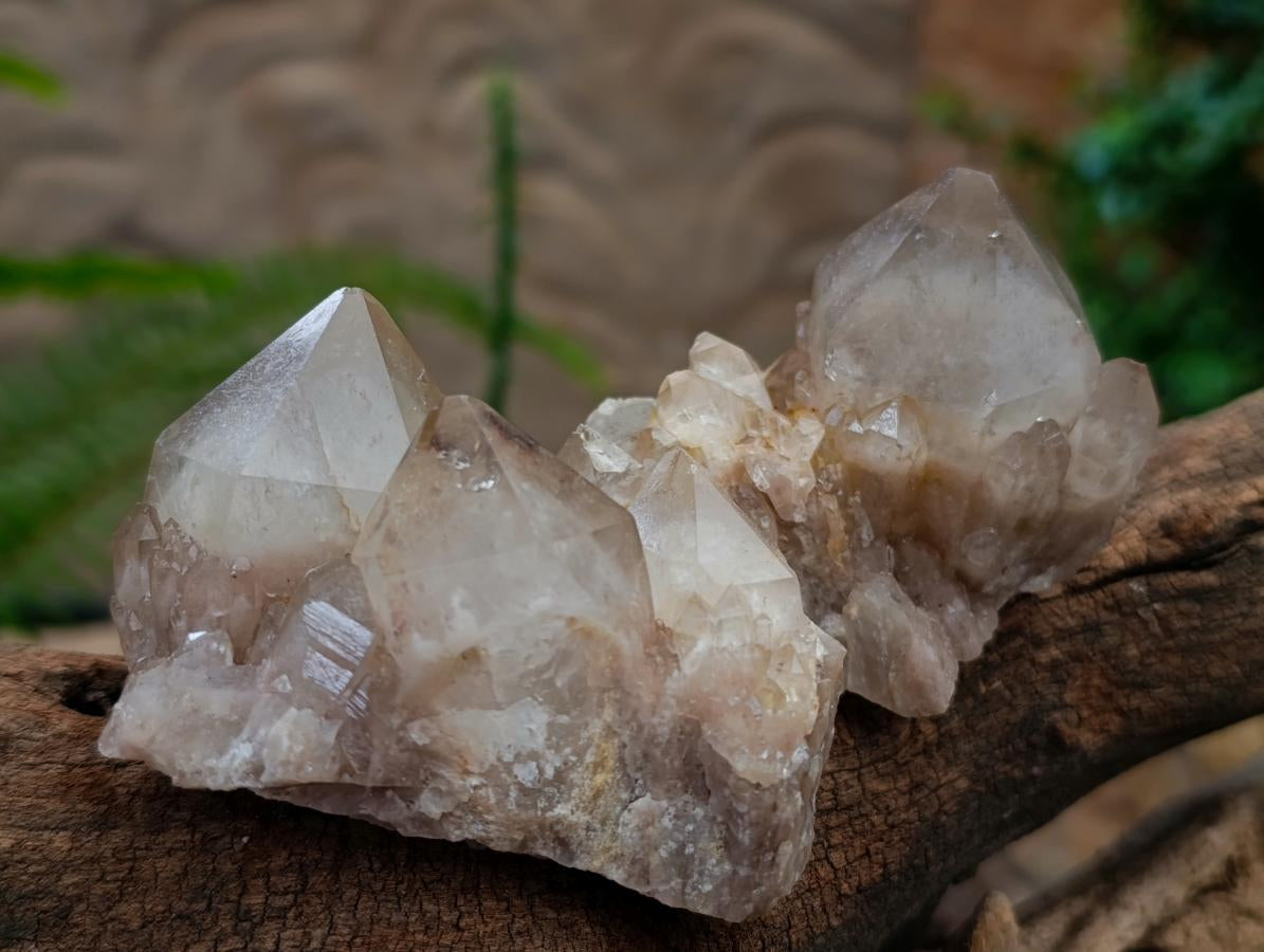 Natural Smokey Phantom Quartz Clusters x 6 From Luena, Congo