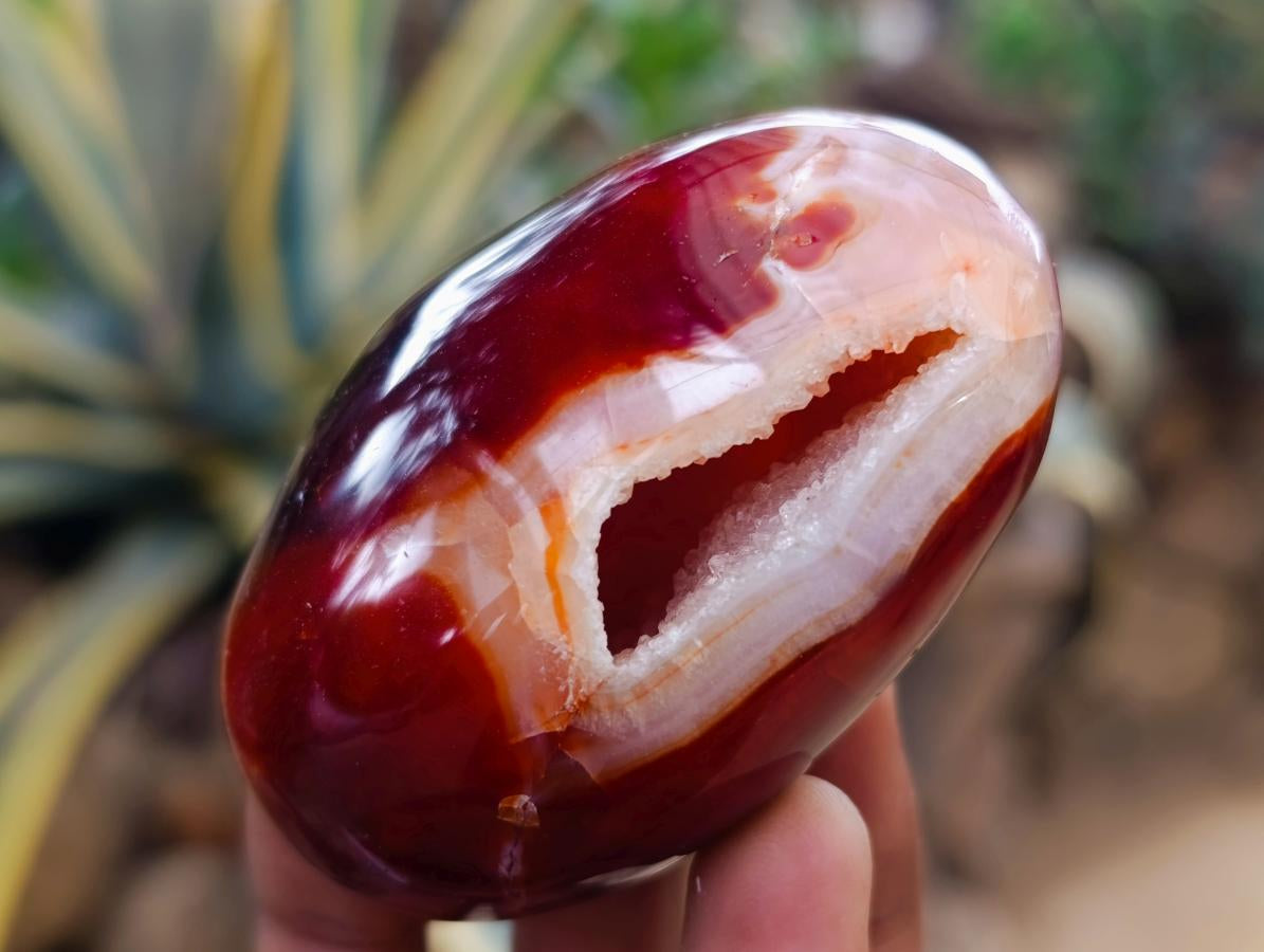 Polished Carnelian Agate Gemstone Galets x 12 From Madagascar