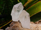 Natural Mpika Quartz Crystals x 35 From Mpika, Zambia