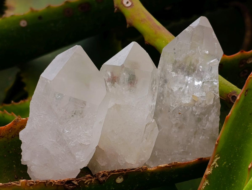 Natural Mpika Quartz Crystals x 35 From Mpika, Zambia