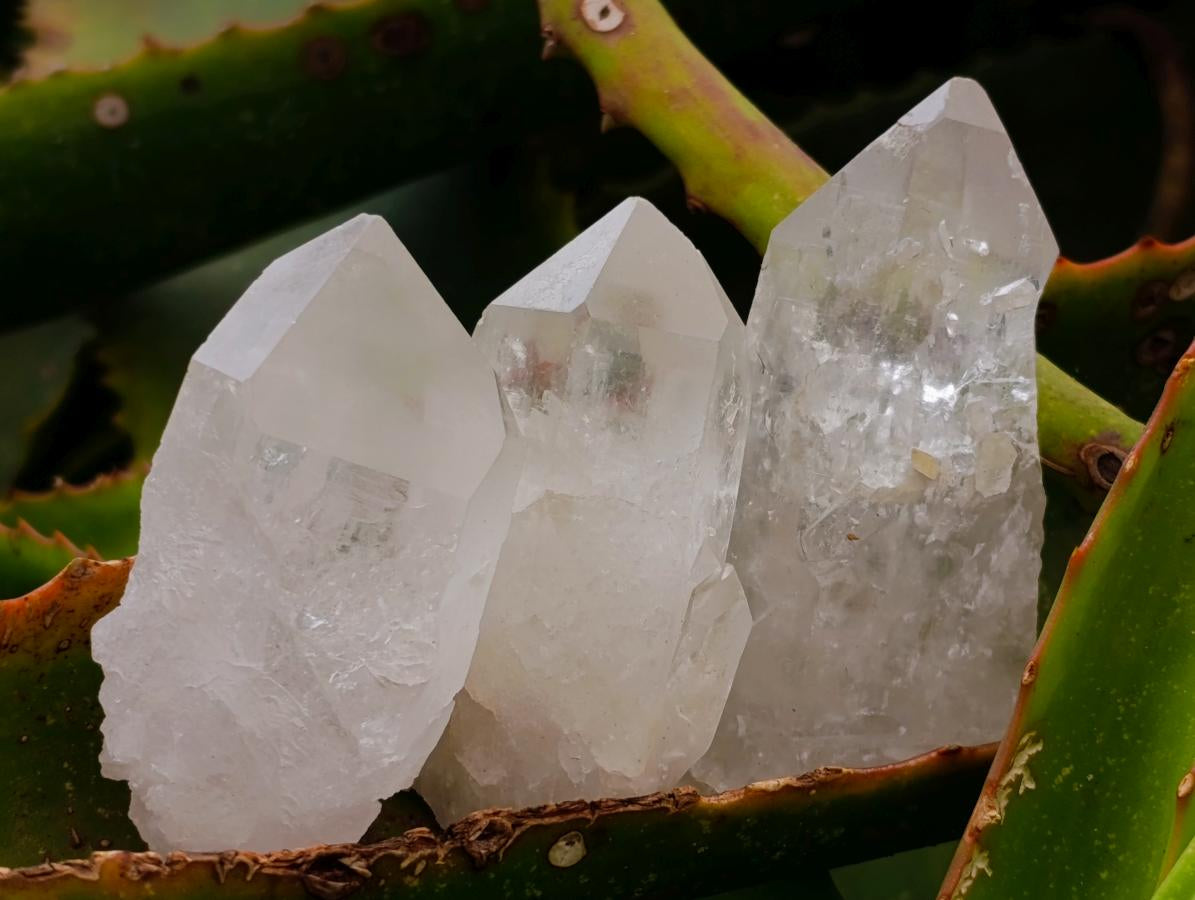 Natural Mpika Quartz Crystals x 35 From Mpika, Zambia