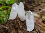 Natural Mpika Quartz Crystals x 35 From Mpika, Zambia