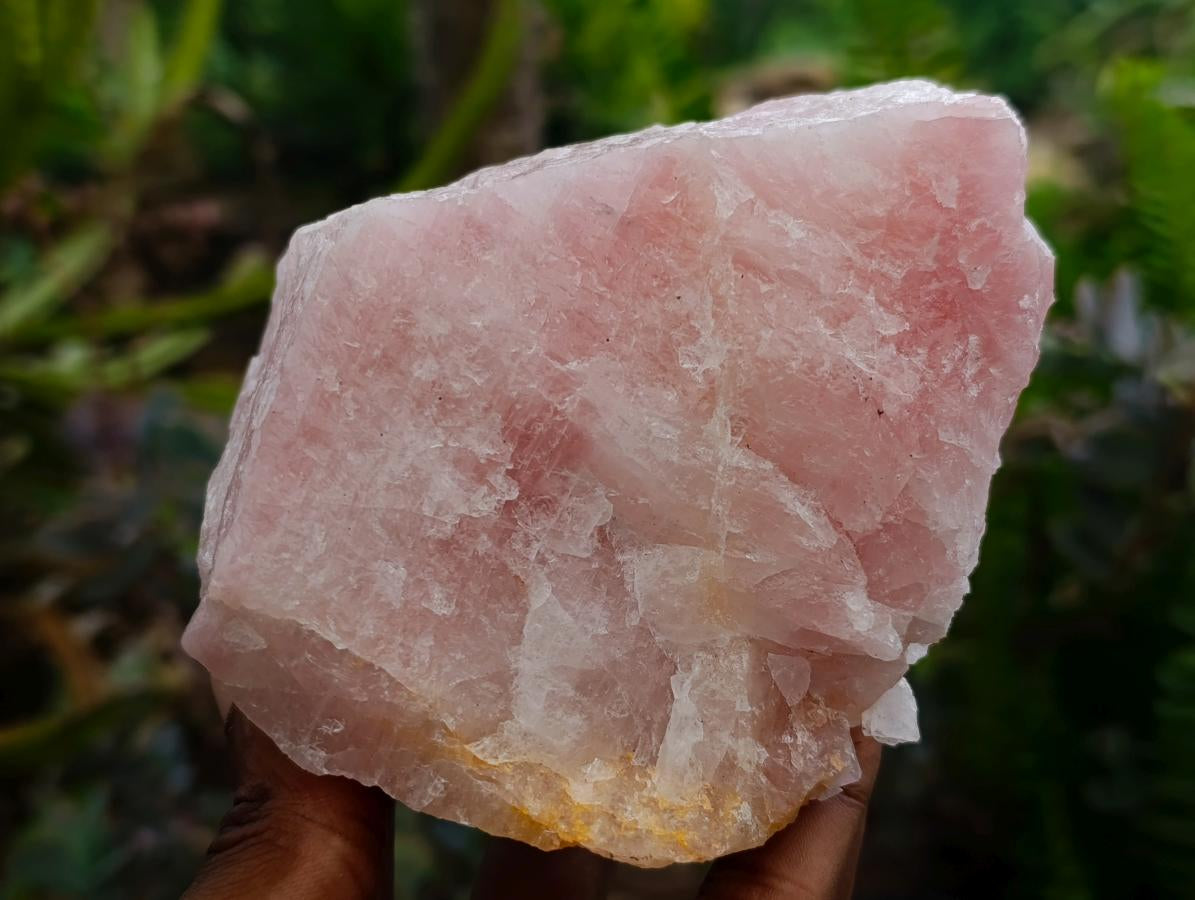 Natural Cobbed Rose Quartz Specimens x 5 From Northern Cape, South Africa
