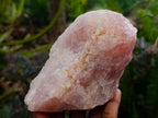 Natural Cobbed Rose Quartz Specimens x 5 From Northern Cape, South Africa