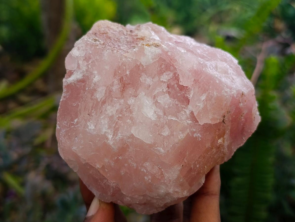 Natural Cobbed Rose Quartz Specimens x 5 From Northern Cape, South Africa