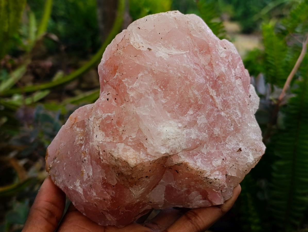 Natural Cobbed Rose Quartz Specimens x 5 From Northern Cape, South Africa