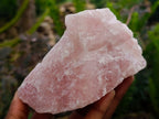 Natural Cobbed Rose Quartz Specimens x 5 From Northern Cape, South Africa