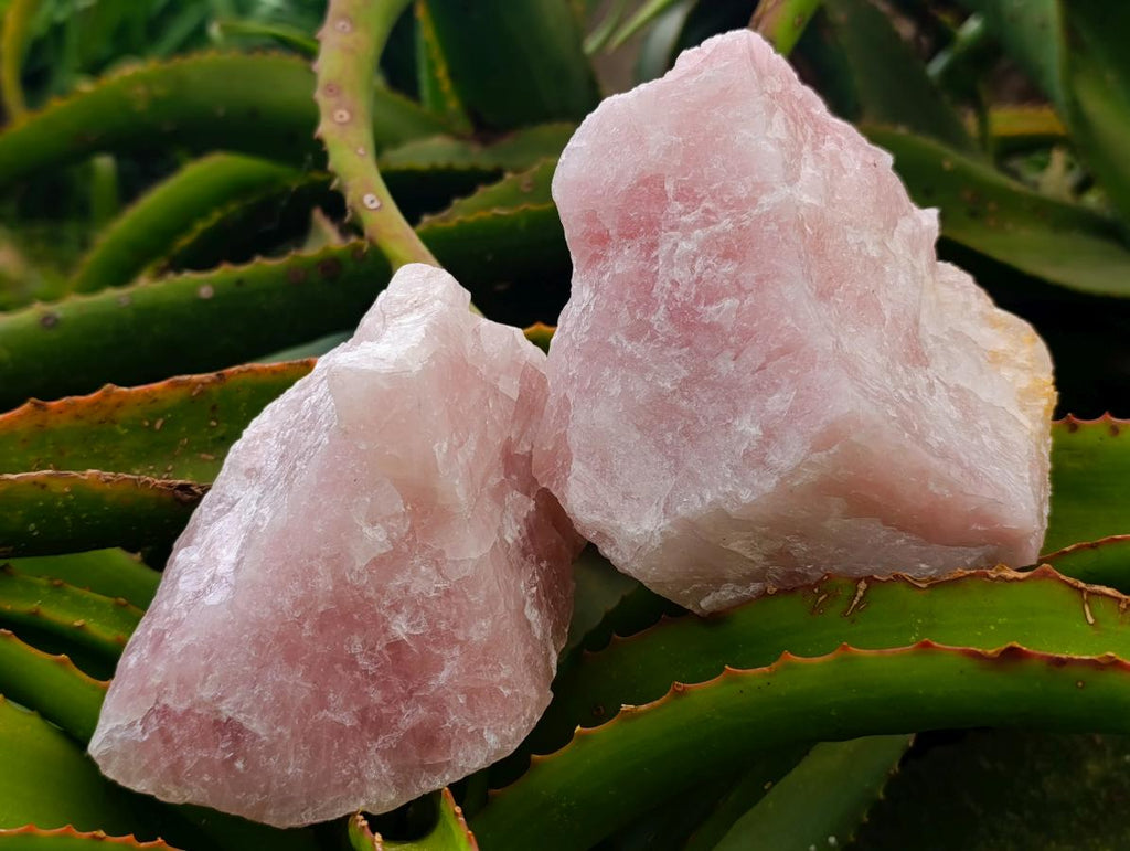 Natural Cobbed Rose Quartz Specimens x 5 From Northern Cape, South Africa