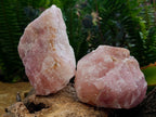 Natural Cobbed Rose Quartz Specimens x 5 From Northern Cape, South Africa