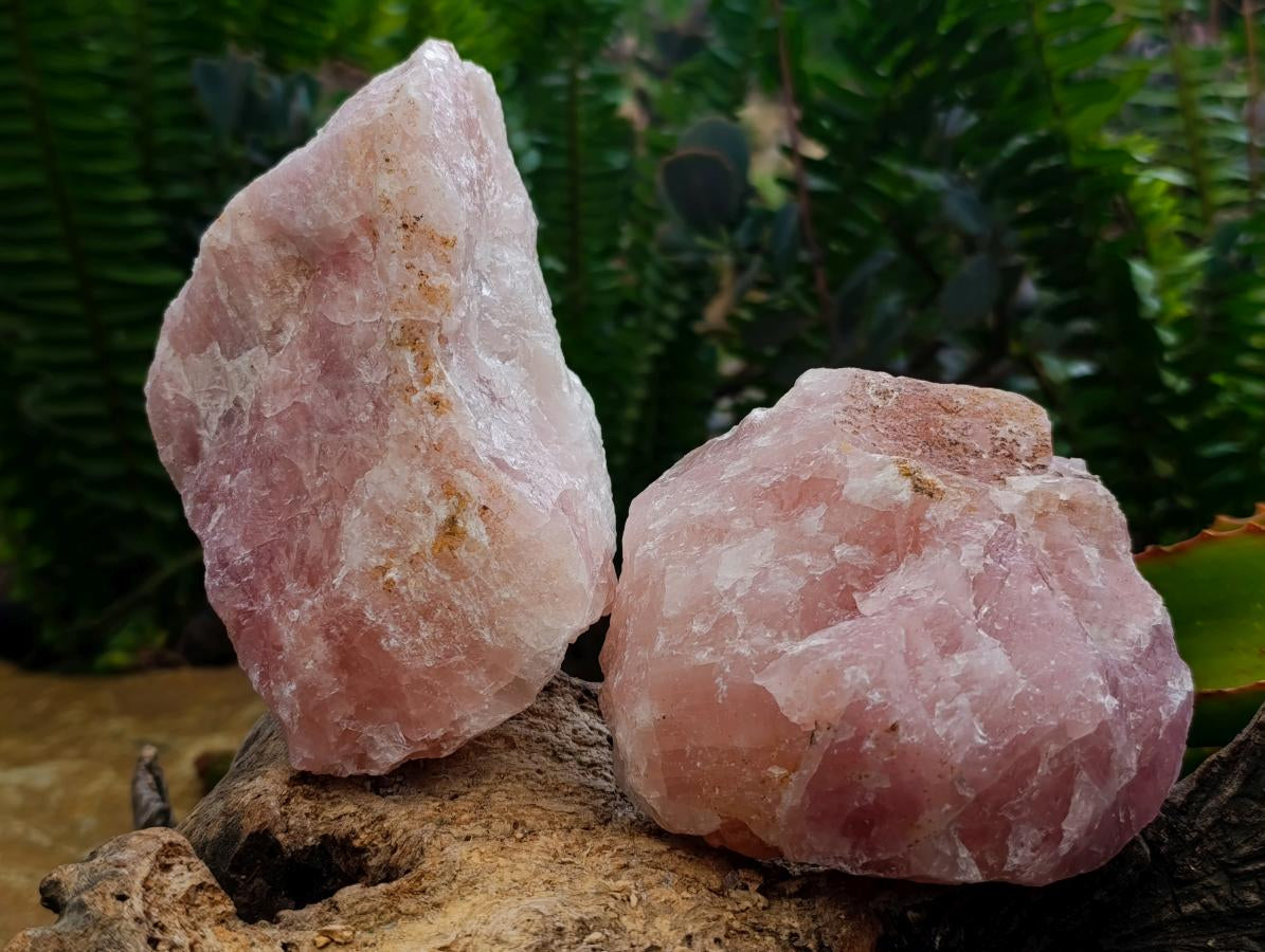 Natural Cobbed Rose Quartz Specimens x 5 From Northern Cape, South Africa
