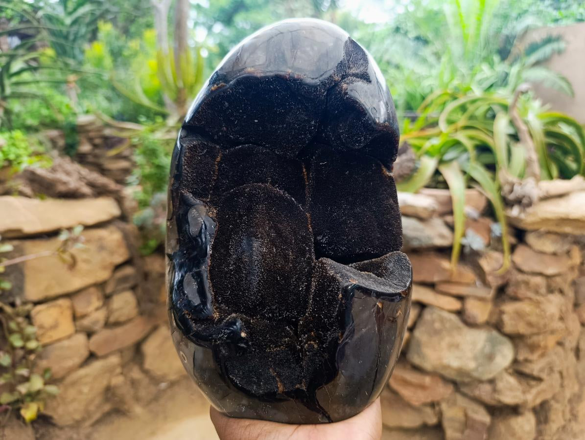 Polished Large Septerye Sauvage "Dragons Egg" Geode x 1 From Mahajanga, Madagascar